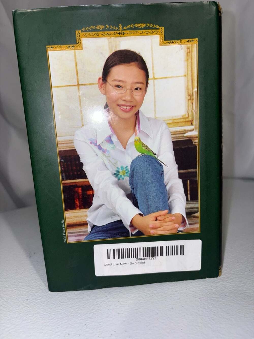 Swordbird - by Nancy Yi Fan (Paperback) : , - Picture 3 of 3